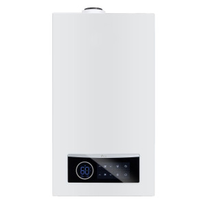 Газовый котел Rens RCB-025 двухконтурный, конденсационный 