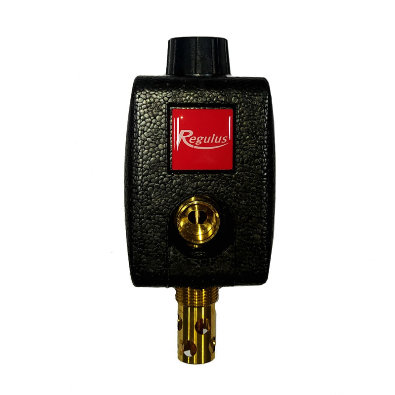 Regulus DBV1 - Тепловой предохранительный клапан, с изоляцией.