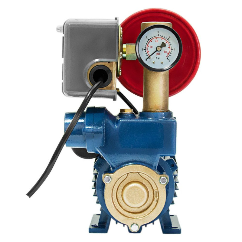 Станция 0.37 кВт Hmax 35 м Qmax 35 л/мин (вихревой насос) 1л WETRON AUTOGP125Z (776010)