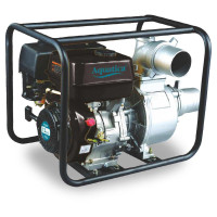 Мотопомпа Leo LGP30-W (772517)