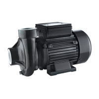 Sprut 2DK20 - Насос поверхневий відцентровий