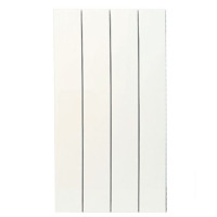 Біметалевий радіатор ASG 300х100 (4 секцій)