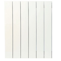 Біметалевий радіатор ASG 300х100 (6 секцій)