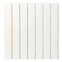 Біметалевий радіатор ASG 300х100 (7 секцій)