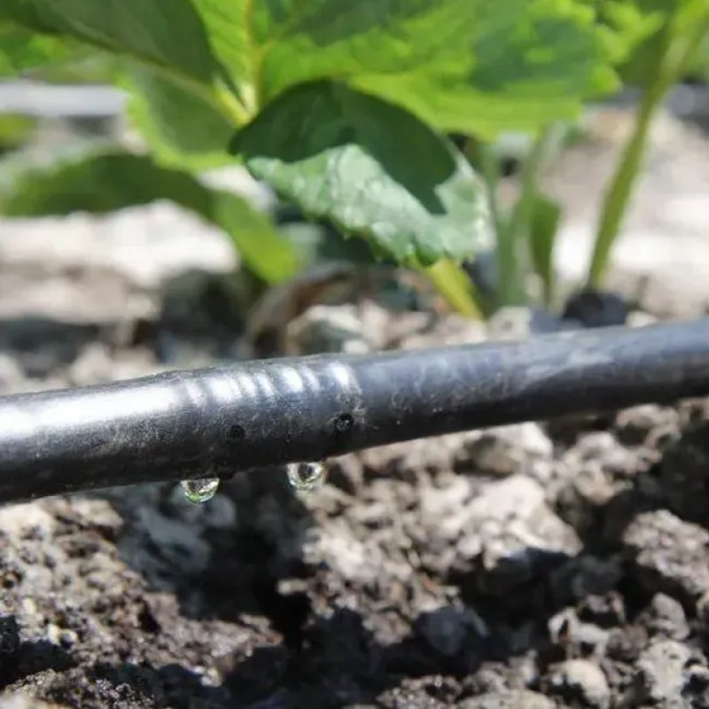 Капельна трубка емітерна GOLDEN DRIP 16мм x 25см 100м(2л/год)   