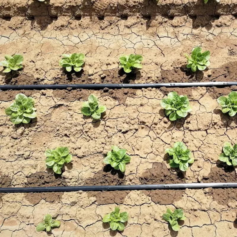 Крапельна стрічка емітерна GOLDEN DRIP 1620-1.4-30 2000м 