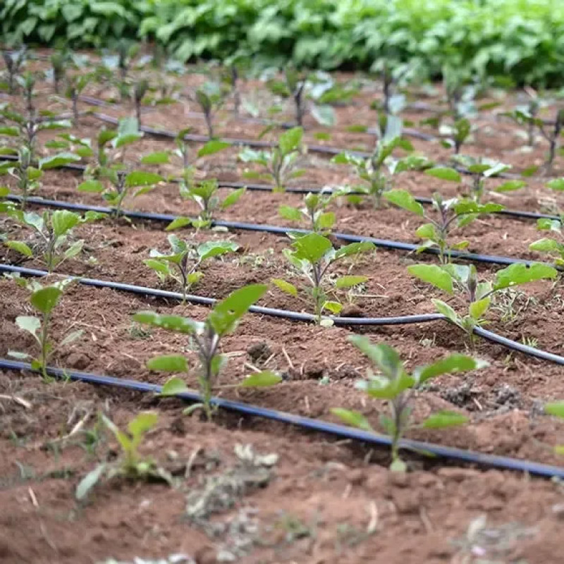 Крапельна стрічка емітерна GOLDEN DRIP 1620-1.4-30 2000м 