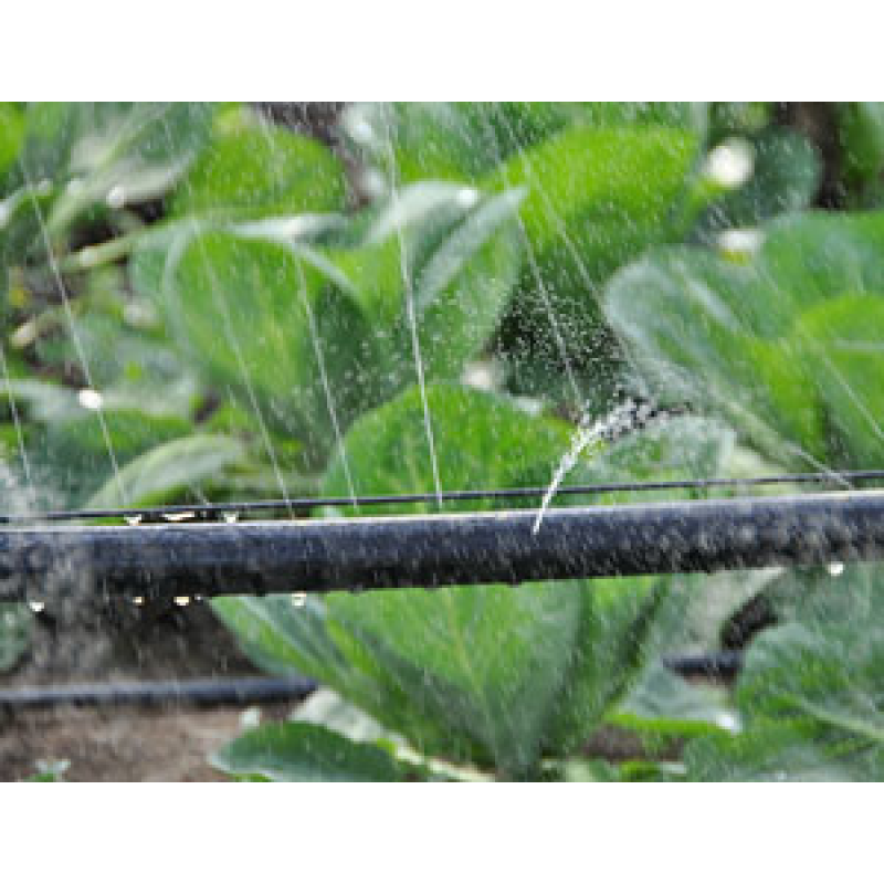 Крапельна стрічка Golden Spray туман Ø25 40мм 50 м   