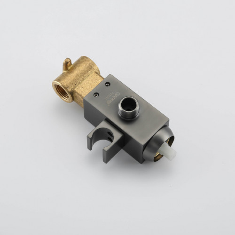 Гігієнічний душ GAPPO G7207-9, збройова сталь