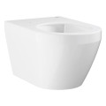 Унитаз Grohe Euro Ceramic 102485SH00 настенный