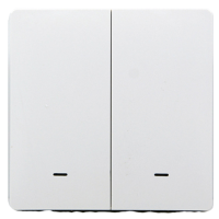 433111 Розумний клавішний вимикач Tervix Pro Line ZigBee Push Switch (2 клавіші), без нуля