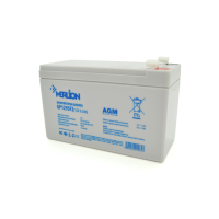 Акумуляторна батарея AGM MERLION GP1295F2, White, 12V 9.5 Ah