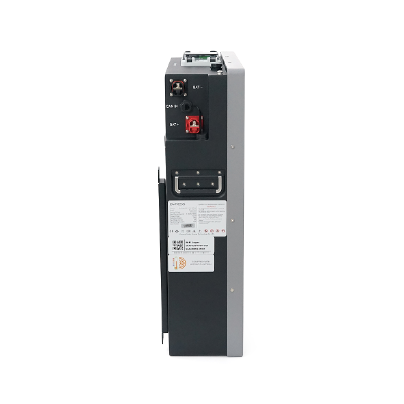 Аккумуляторная батарея LiFePO4 DYNESS Power Haus, 51,2V 100Ah (5,12 кВт·ч), BMS 75А