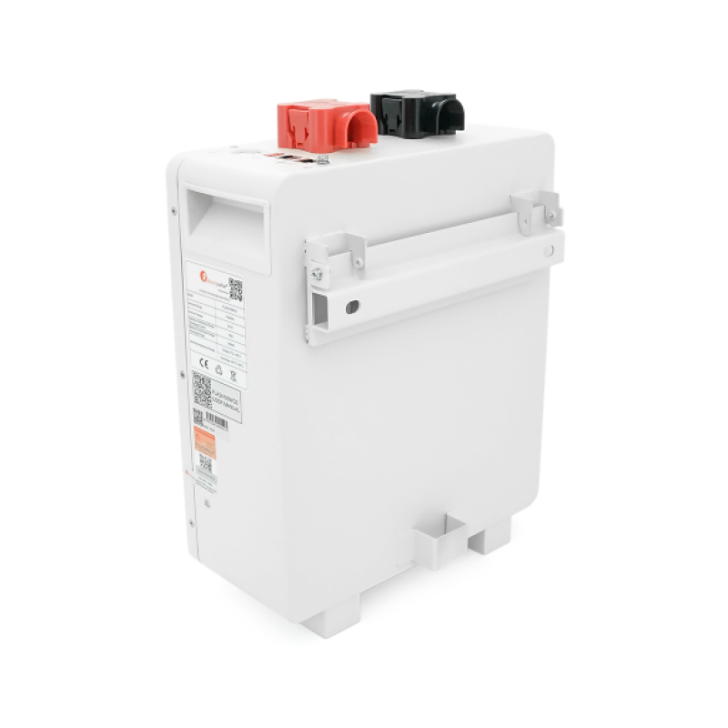 Аккумуляторная батарея LiFePO4 FelicityESS FLA24100WG2, 24V 100Ah (2,56 кВт·ч), BMS 100А@8S