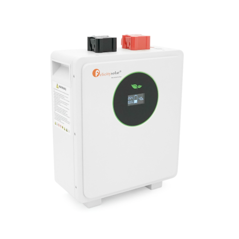 Аккумуляторная батарея LiFePO4 FelicityESS FLA24100WG2, 24V 100Ah (2,56 кВт·ч), BMS 100А@8S