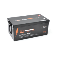 Аккумуляторная батарея LiFePO4 Li-TIME L51.2V100-BASIC-16-A250, 51,2V 100Ah (5,12 кВт·ч), BMS 100А
