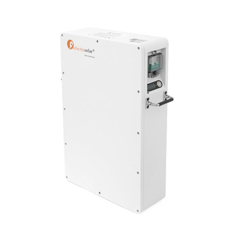 Акумуляторна батарея LiFePO4 FelicityESS LPBA48100-OL, 48V 100Ah (5,12 кВт·год), BMS 60А@16S