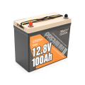 Аккумуляторная батарея LiFePO4 Power Queen P12V100-PREM-16-A60-DE, 12,8V 100Ah (1,28 кВт·ч), BMS 100А, Mini