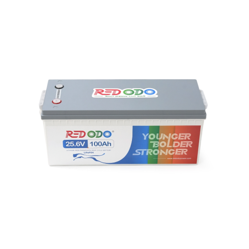 Аккумуляторная батарея LiFePO4 Redodo R24V100-100-BASIC-8-A160N, 25,6V 100Ah (2560 Вт·ч), BMS 100А
