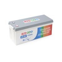 Аккумуляторная батарея LiFePO4 Redodo R24V100-100-BASIC-8-A160N, 25,6V 100Ah (2560 Вт·ч), BMS 100А