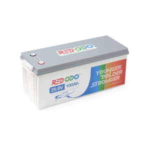 Акумуляторна батарея LiFePO4 Redodo R24V100-100-BASIC-8-A160N, 25,6V 100Ah (2560 Вт·год), BMS 100А
