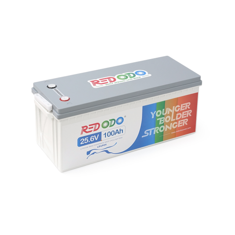 Аккумуляторная батарея LiFePO4 Redodo R24V100-100-BASIC-8-A160N, 25,6V 100Ah (2560 Вт·ч), BMS 100А