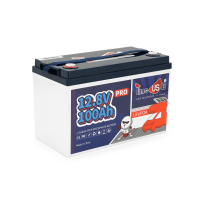 Аккумуляторная батарея LiFePO4 Timeusb 12,8V 100Ah Pro, 1280 Вт·ч, BMS 100А