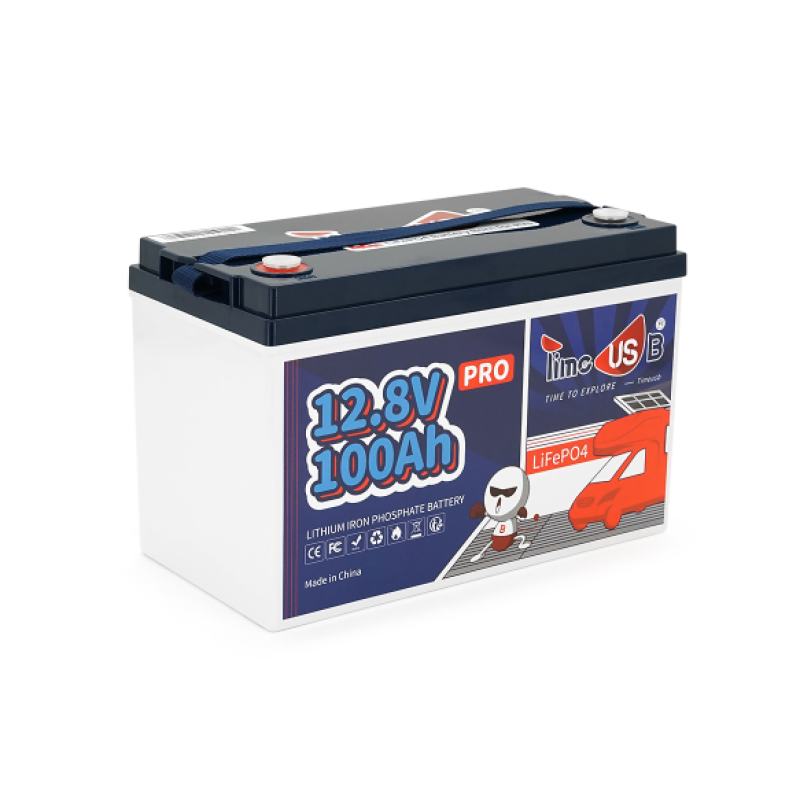 Аккумуляторная батарея LiFePO4 Timeusb 12,8V 100Ah Pro, 1280 Вт·ч, BMS 100А