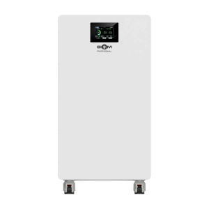 Аккумулятор LiFePO4 Biom Professional 48В (51.2В) BALFP-512300-V2 16кВт-год