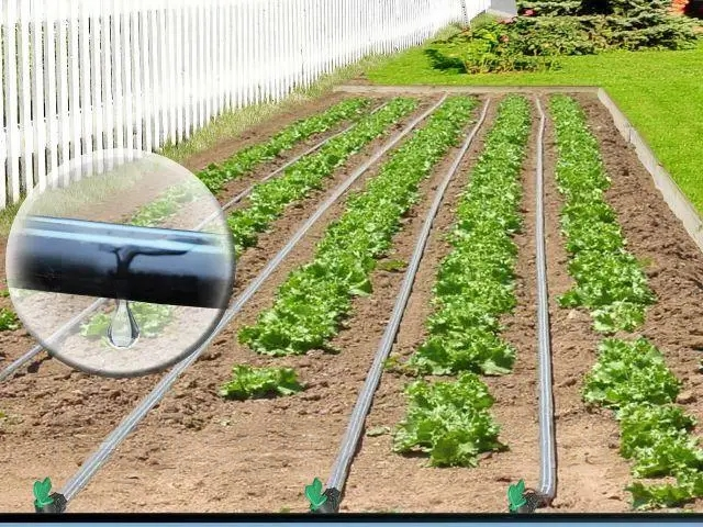 Застосування Крапельна стрічка емітерна Garden Drip 7 mil 200м (10 см) 