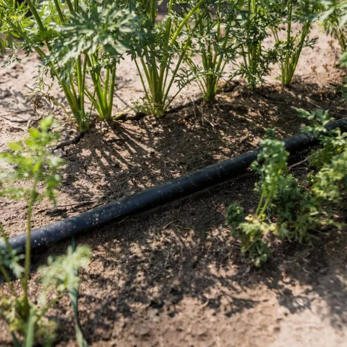 Застосування Крапельна стрічка емітерна GOLDEN DRIP 1620-1.4-20 1000м  