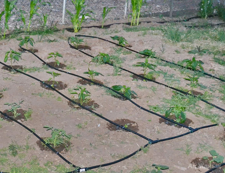 Застосування Крапельна стрічка емітерна SANPOL 6 mil 1000м (30 см) 