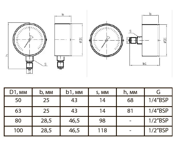 Габаритные размеры Манометр Tervix Pro Line 63 0-10 бар 1/4" аксиальный (355613)