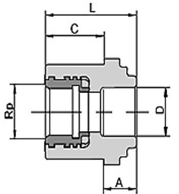 Габаритні розміри Перехід Wavin Ekoplastik PPR 20x1/2" SZS02020XX (для гіпсокартону) 