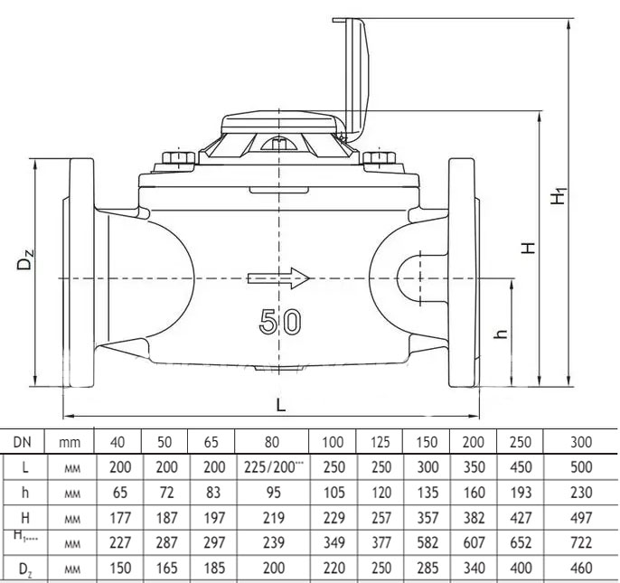 Розміри Лічильник для гарячої води Apator Powogaz MWN 130-300 ГВ DN300 (турбінний) 