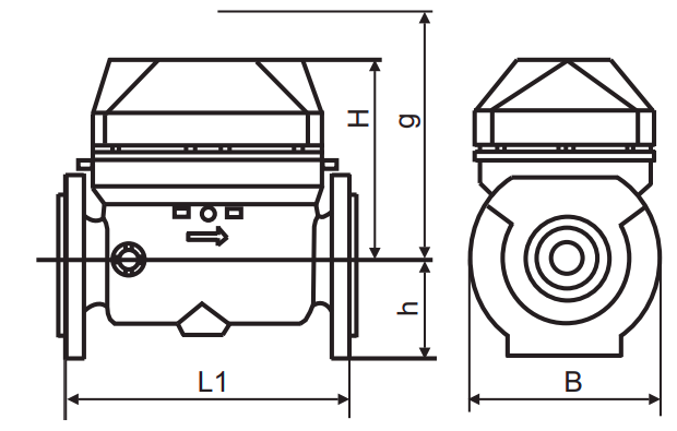 Габаритные размеры Счетчик холодной воды Sensus Meitwin 65/50° (комбинированный)